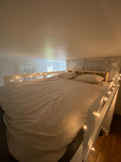 Appartement De Charme Pres Du Stade De France Saint-Denis  Bagian luar foto